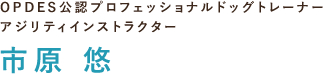 OPDES公認プロフェッショナルドッグトレーナー
アジリティインストラクター 市原 悠