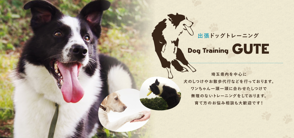 埼玉県内を中心に
犬のしつけやお散歩代行などを行っております。
ワンちゃん一頭一頭に合わせたしつけで
無理のないトレーニングをしております。
育て方のお悩み相談も大歓迎です！