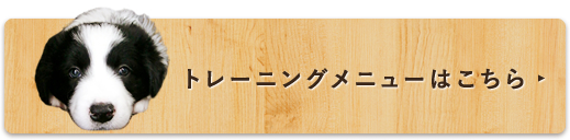 トレーニングメニューはこちら