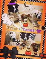 ハロウィン(^^)/