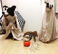 ハロウィン(^^)/